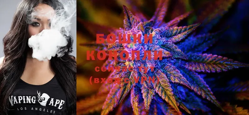 наркота  Лодейное Поле  Каннабис Ganja 